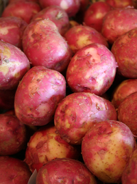 Potato - Red Skin (LOCAL)